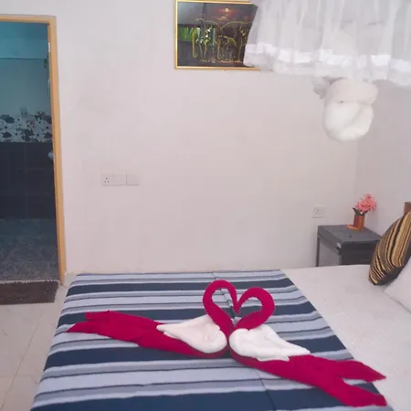 Tropical Garden Homestay Pidurangala Sigirîya Extérieur photo